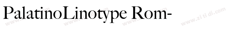 PalatinoLinotype Rom字体转换